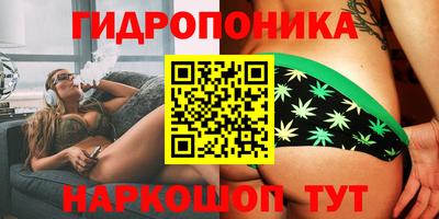 тгк Севастополь