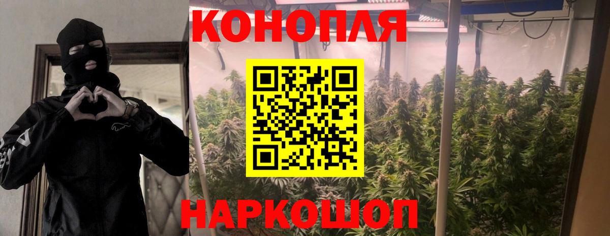 МАРИХУАНА OG Kush Алатырь