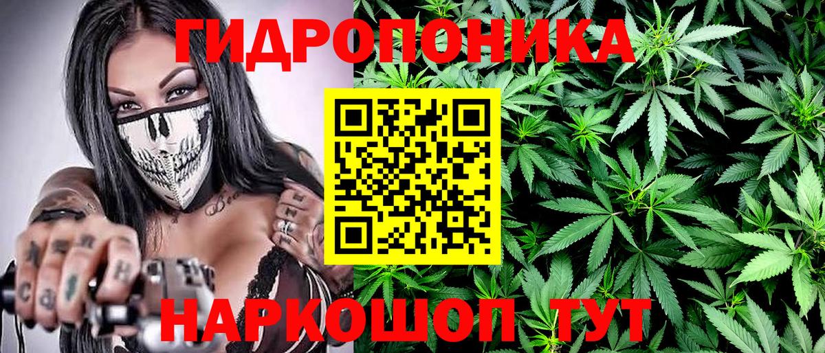 Конопля Amnesia  Вход с VPN  Бошки марихуана тримм  Шишки марихуана OG Kush  Алатырь 